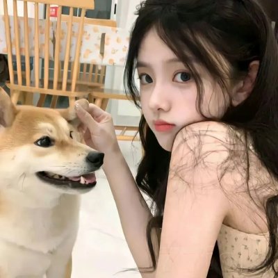囧妈的极地任务