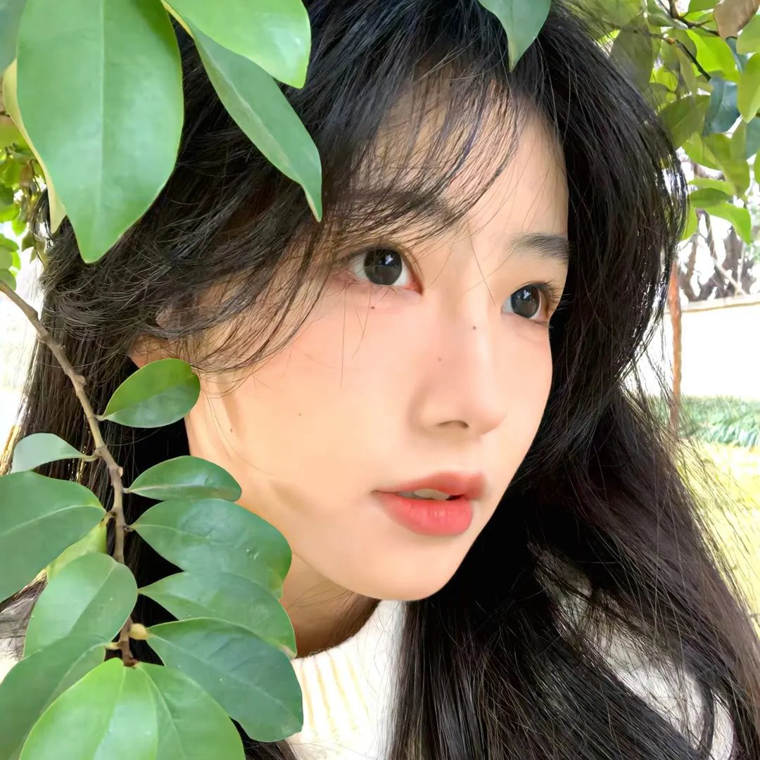 人类丛林
