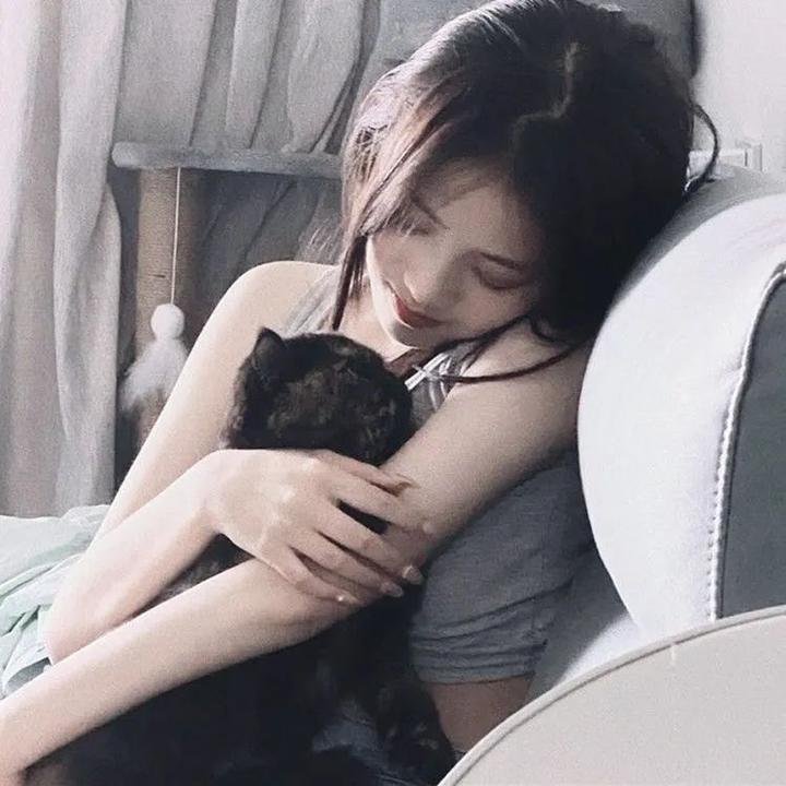 间谍过家家第二季